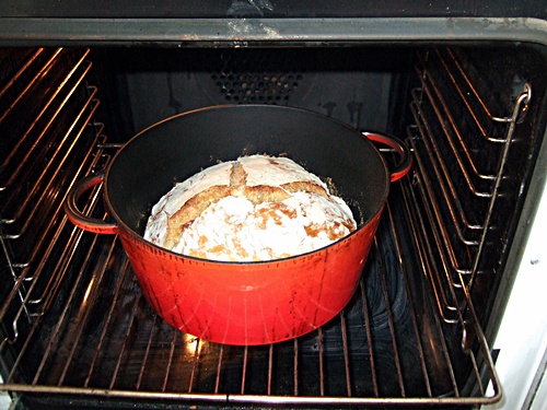 bread1 Brot im Topf