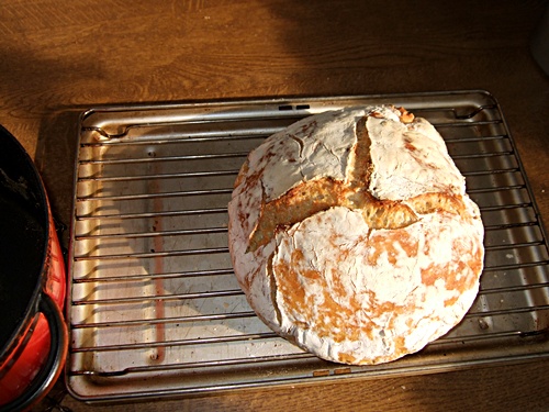 bread2 Der Tod des Industrie-Ciabatta