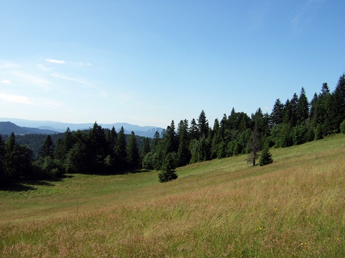 pieninen2 Pieninen-Blick