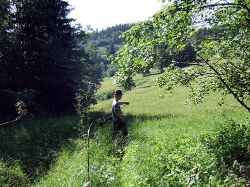 pieninen3 Durch Wald und Flur