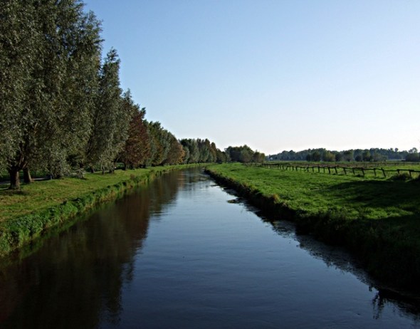 niers Die Niers zwischen Grefrath und Oedt