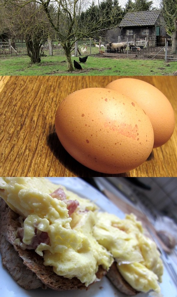 Bildergeschichte in drei Teilen: Warum mich so genannte Lebensmittelskandale eher selten berühren