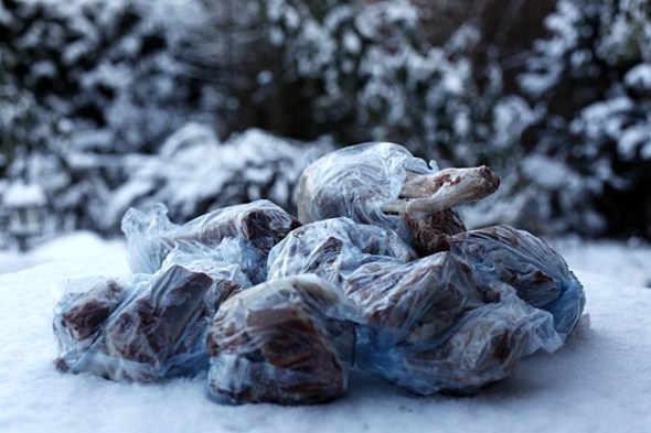 ziegeimschnee Halbe Ziege im Schnee
