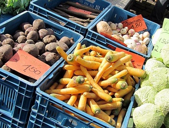 muure Gelbe rheinische Möhren