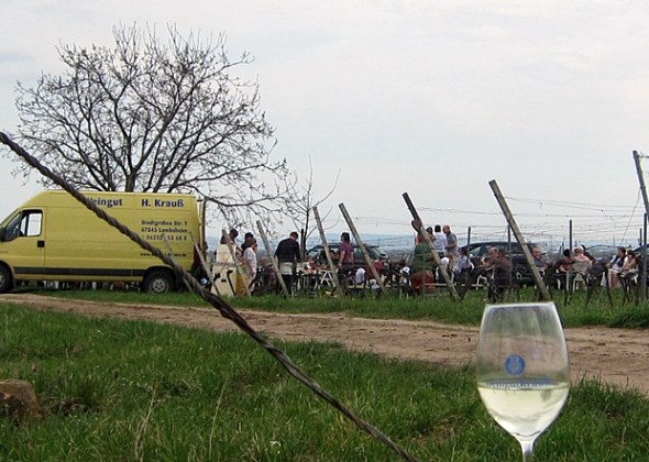 hut1 Weinhappening auf Pfälzer Höhen