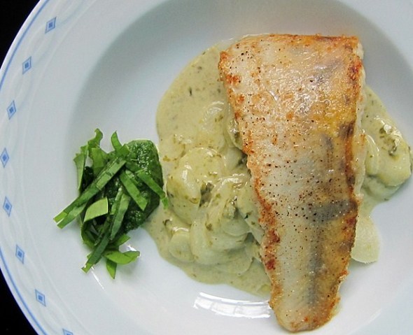 Zitruszander auf Spargelragout mit Sauerampfernocke