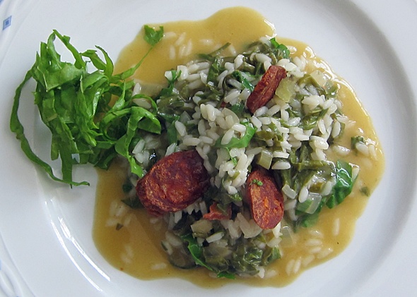 Mangoldrisotto mit Chorizoaroma und -chips